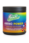 Amino Power 300 Kapseln